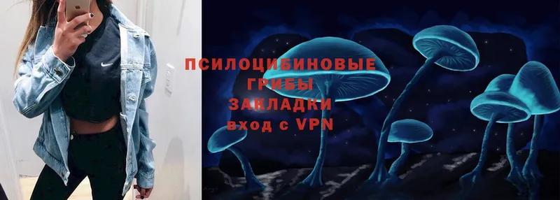 Галлюциногенные грибы Psilocybine cubensis  kraken зеркало  Завитинск 